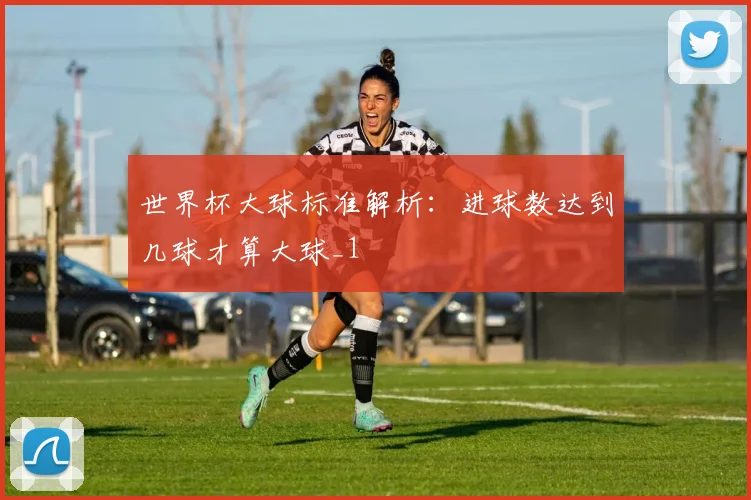 世界杯大球标准解析:进球数达到几球才算大球_1