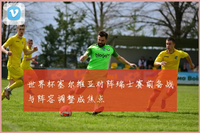 世界杯塞尔维亚对阵瑞士赛前备战与阵容调整成焦点