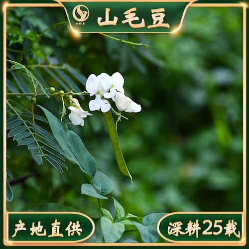 草种生产经营企业综合信息概述