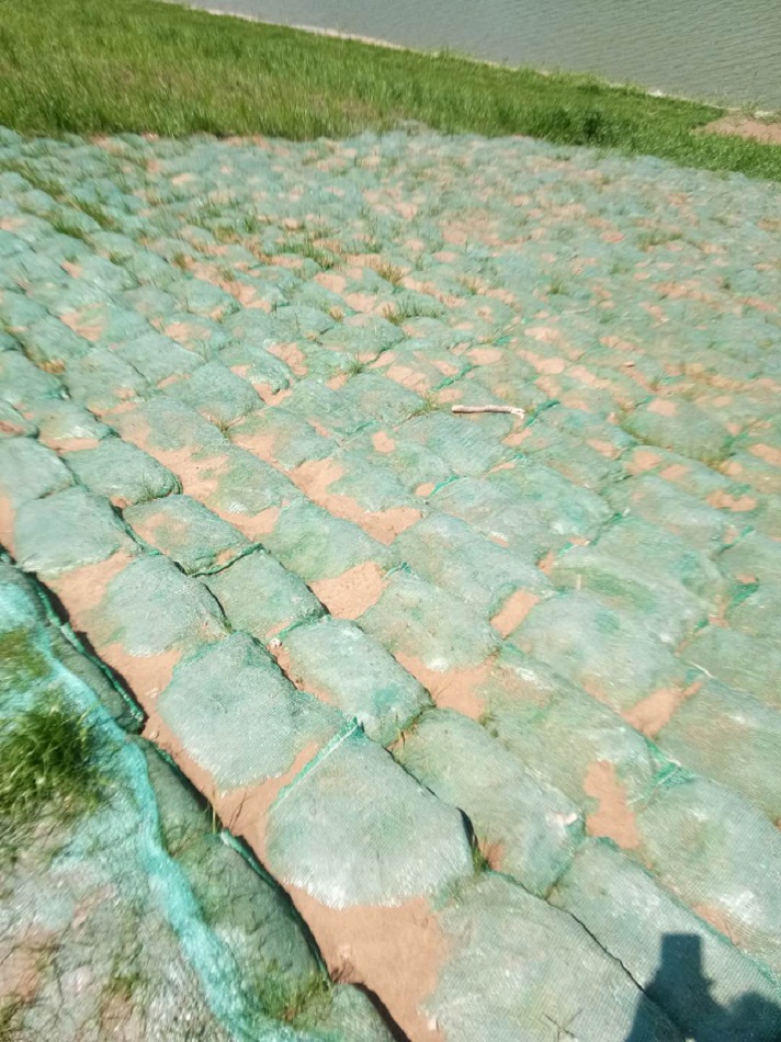 高速路框架梁与高陡边坡固土绿化草籽植生袋生产工艺及草种生产经营介绍