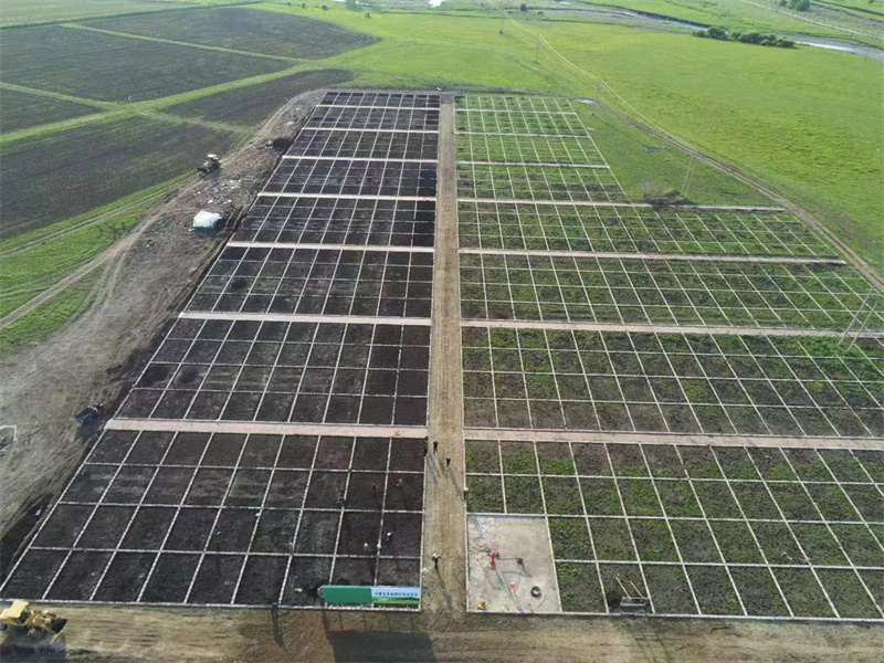 自治区林草种苗总站深入我盟调研林草种苗基地建设及草种生产经营工作