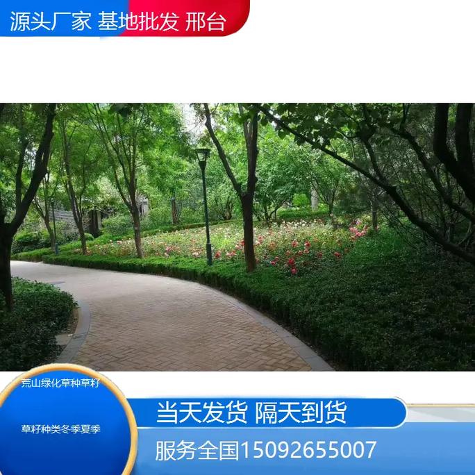 邢台荒山绿化草种草籽的创新选择与生态效益分析